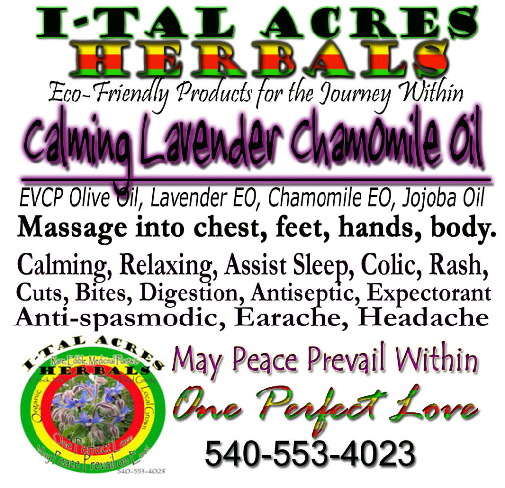 calmingblendhirres1 Massage Oil
