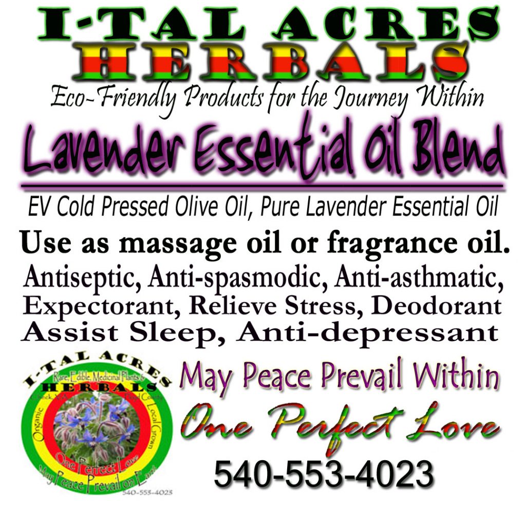 lavenderblendhirres Massage Oil