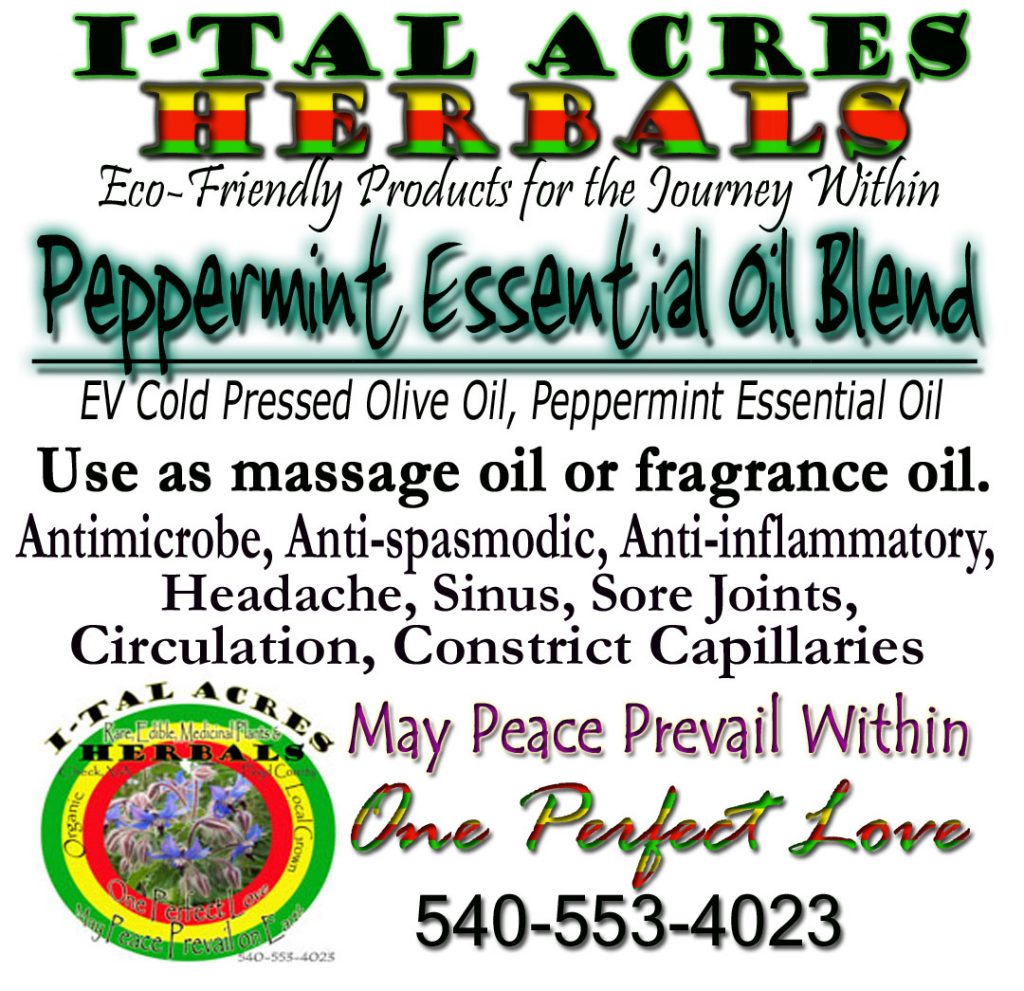 peppermintblendhirres Massage Oil
