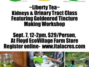 kidney urinary goldenrod class workshop