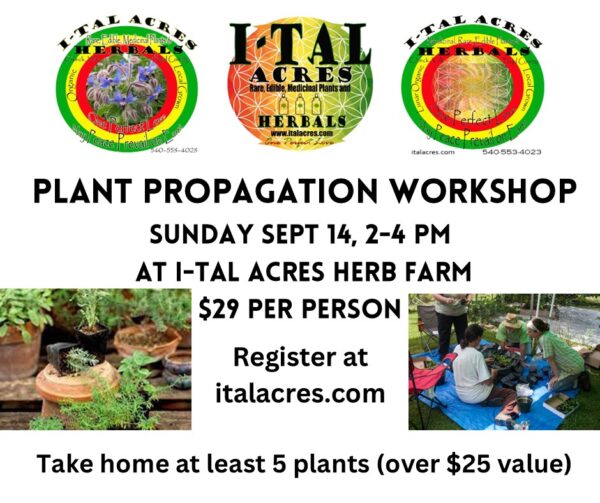 plant propagation workshop 2025 Plant Propagation Class