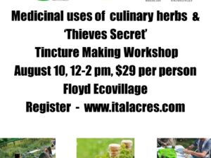 Culinary Herbs, Thieves Tincture Class Workshop