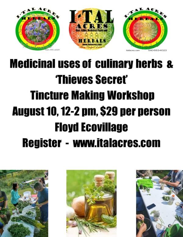 Culinary Herbs, Thieves Tincture Class Workshop