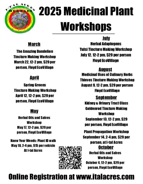 2025 medicinal plant workshops Classes & Workshops