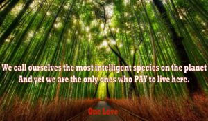 intelligent species pay to live ITAL HERBAL RESOURCES PAGE..