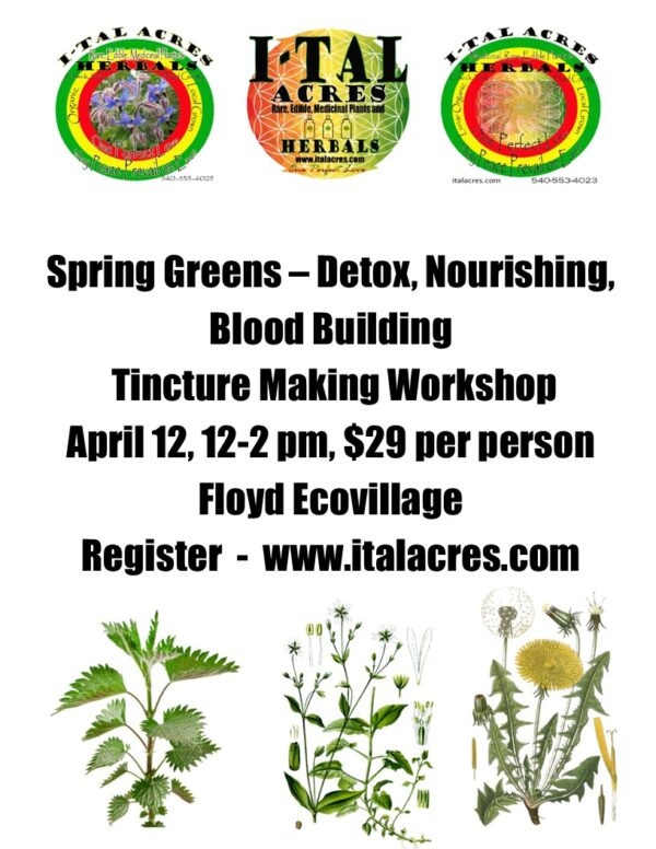 spring greens flyer 2025 Spring Greens Tincture Workshop